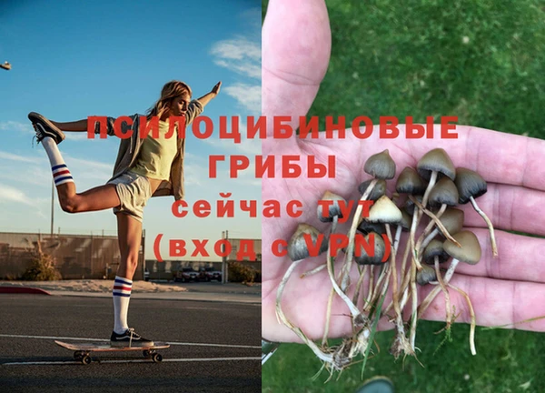 марки nbome Беломорск