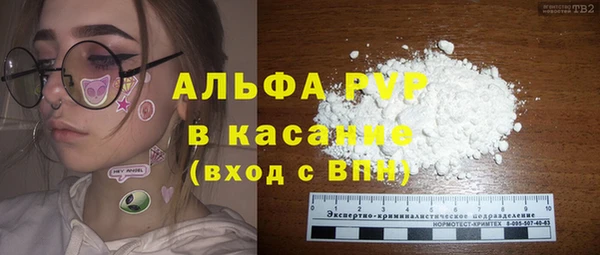 ECSTASY Белокуриха